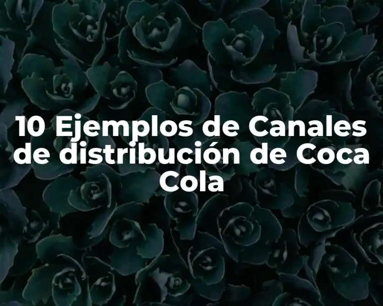 10 Ejemplos de Canales de distribución de Coca Cola