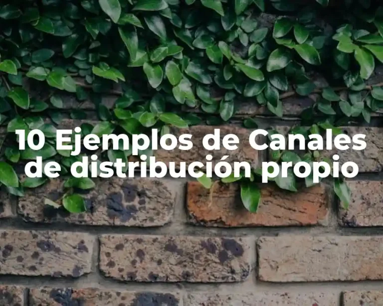 10 Ejemplos de Canales de distribución propio