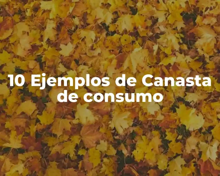 10 Ejemplos de Canasta de consumo