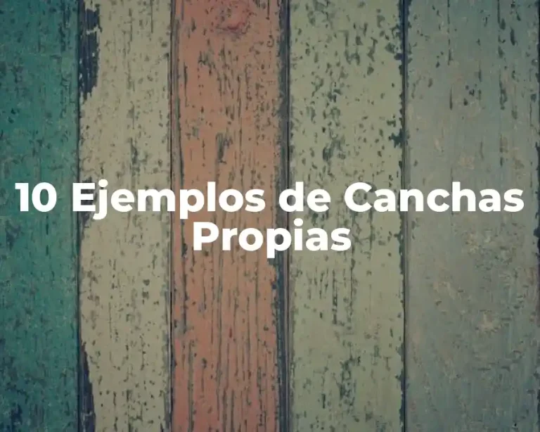 10 Ejemplos de Canchas Propias