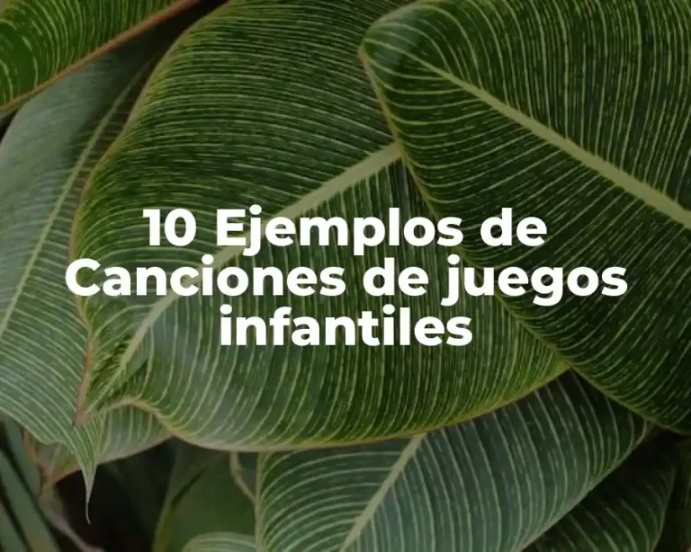 10 Ejemplos de Canciones de juegos infantiles