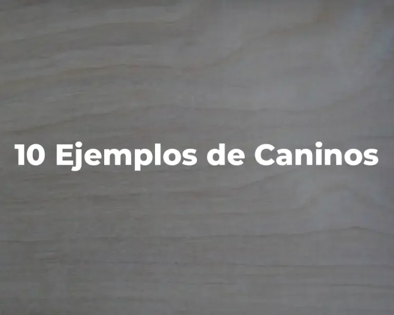10 Ejemplos de Caninos