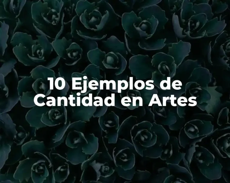 10 Ejemplos de Cantidad en Artes