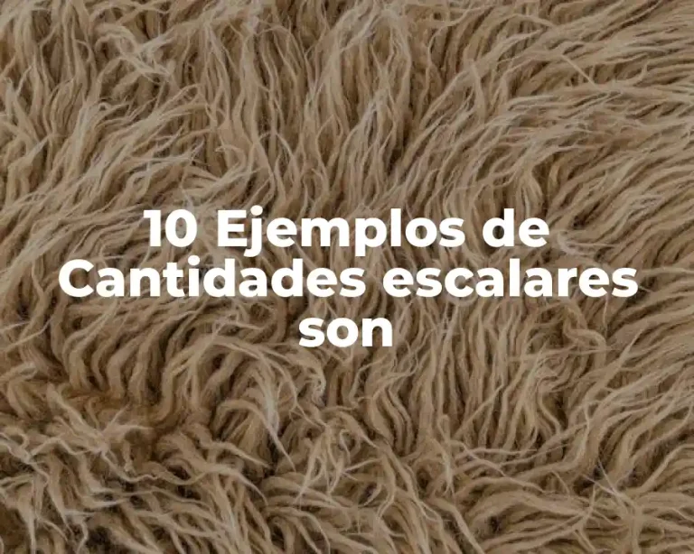 10 Ejemplos de Cantidades escalares son