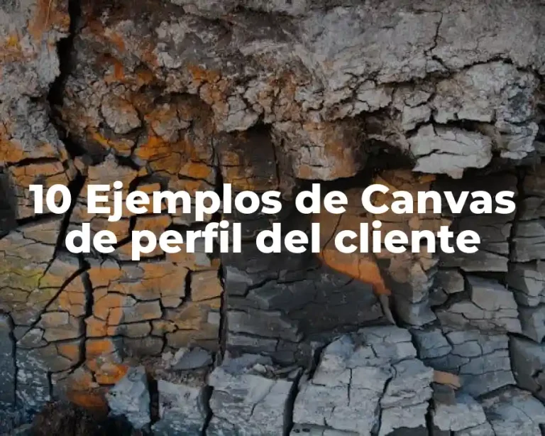 10 Ejemplos de Canvas de perfil del cliente