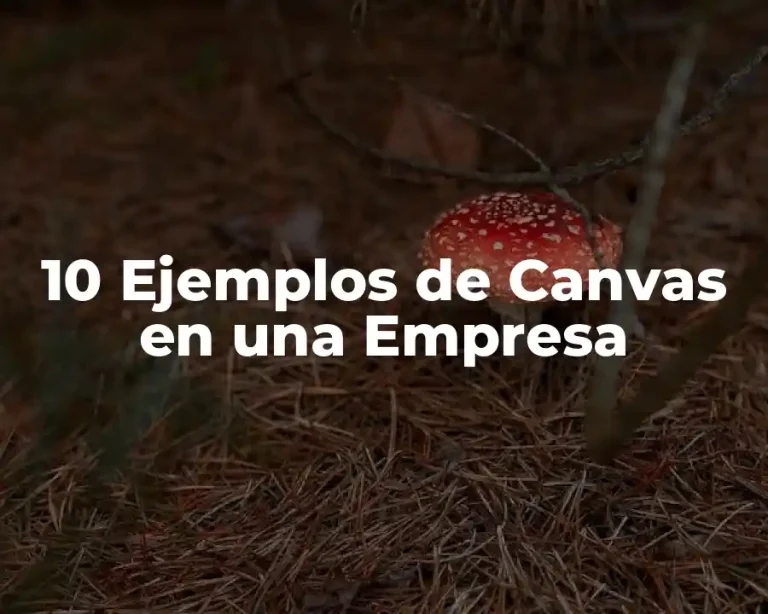 10 Ejemplos de Canvas en una Empresa