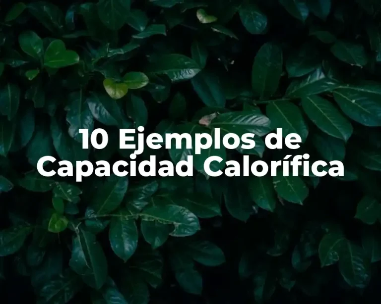 10 Ejemplos de Capacidad Calorífica