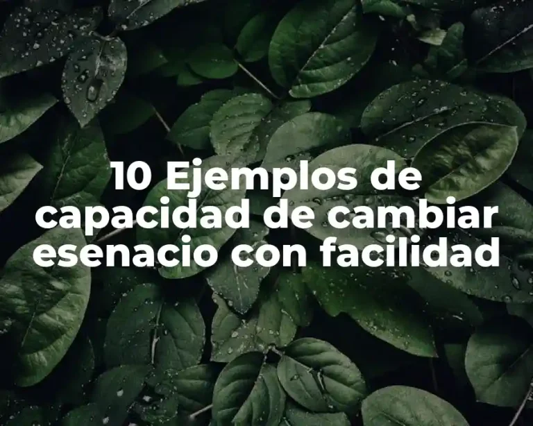 10 Ejemplos de capacidad de cambiar esenacio con facilidad
