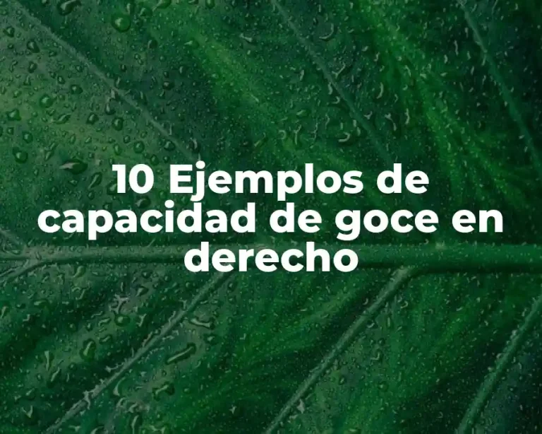 10 Ejemplos de capacidad de goce en derecho
