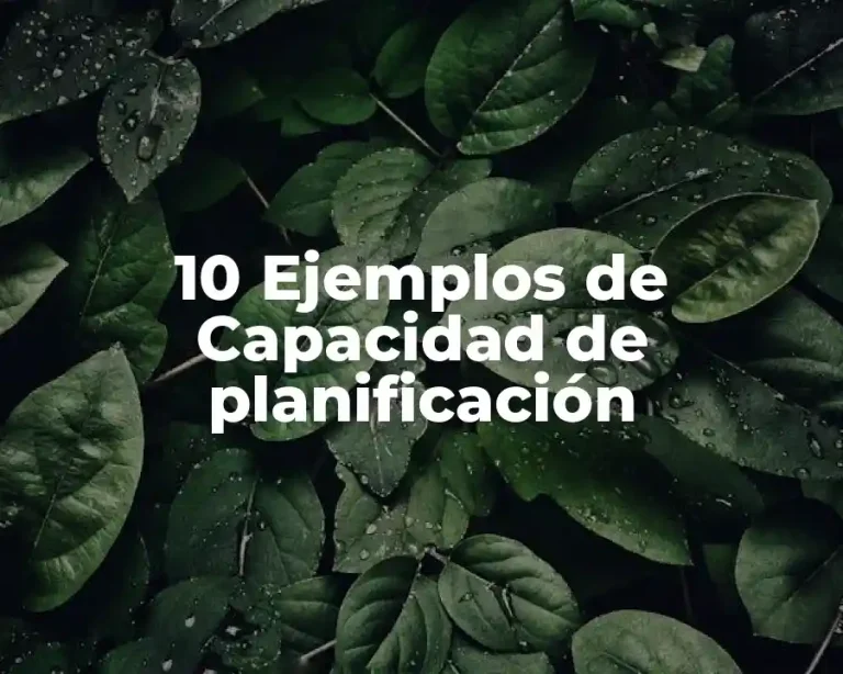 10 Ejemplos de Capacidad de planificación