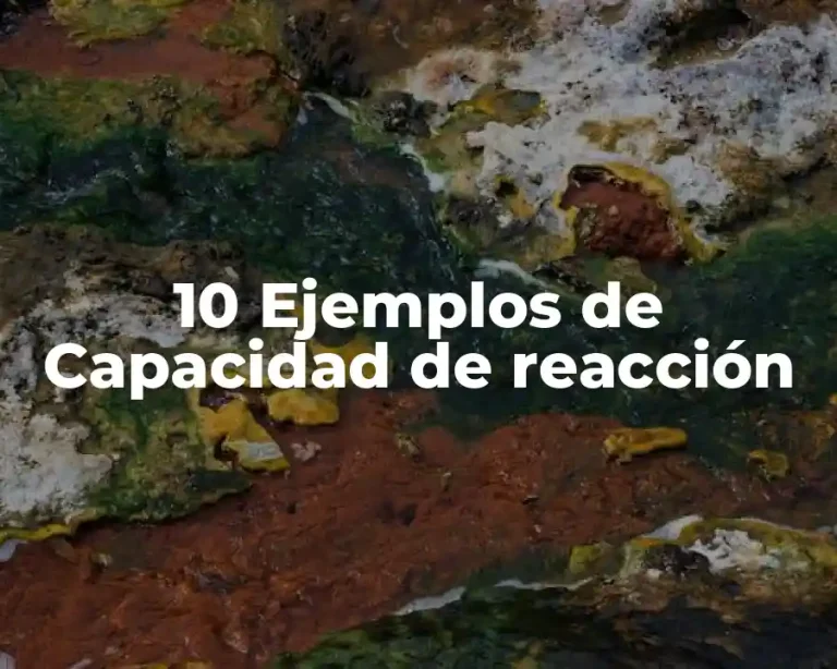10 Ejemplos de Capacidad de reacción