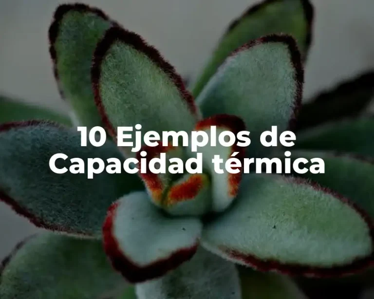 10 Ejemplos de Capacidad térmica