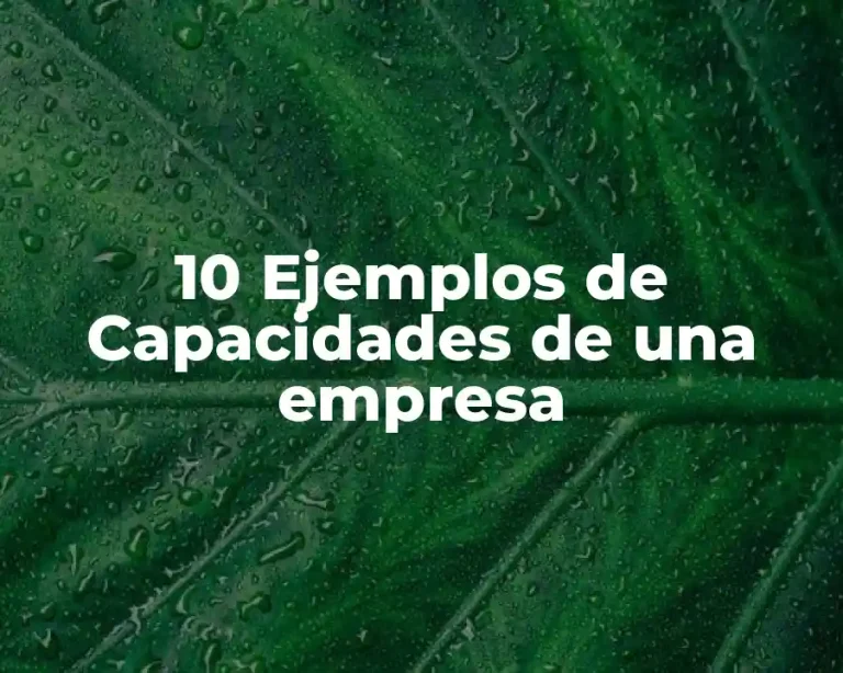 10 Ejemplos de Capacidades de una empresa
