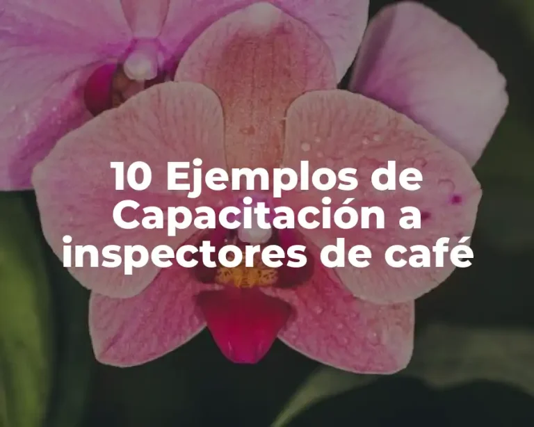 10 Ejemplos de Capacitación a inspectores de café