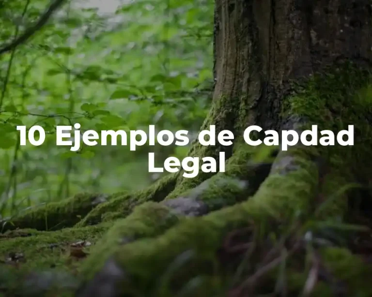 10 Ejemplos de Capdad Legal