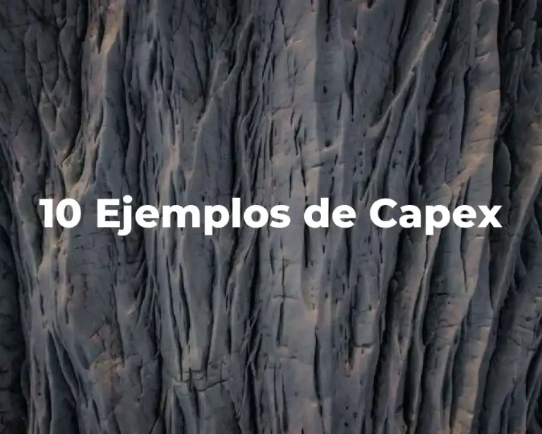 10 Ejemplos de Capex