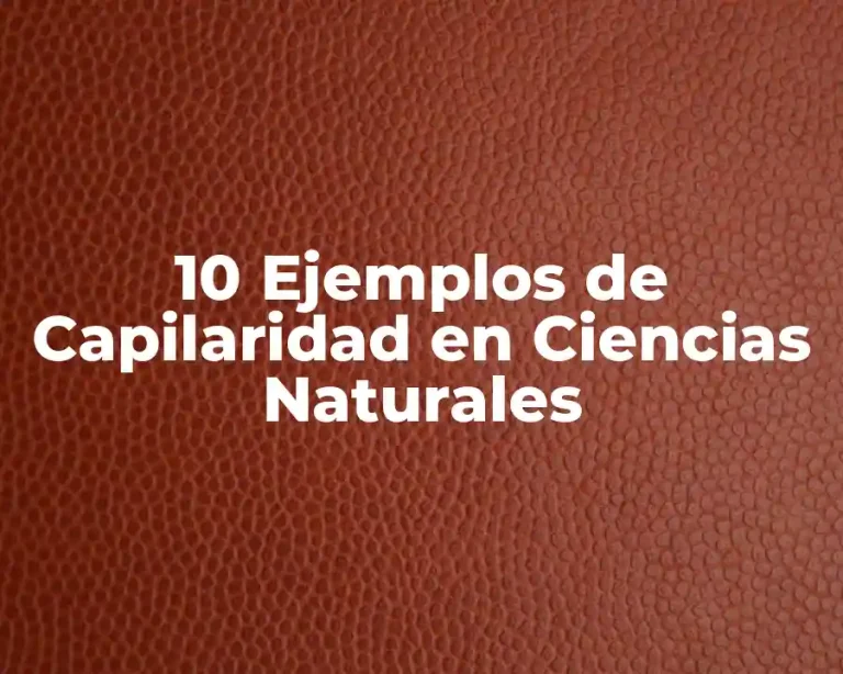 10 Ejemplos de Capilaridad en Ciencias Naturales