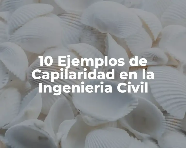 10 Ejemplos de Capilaridad en la Ingenieria Civil