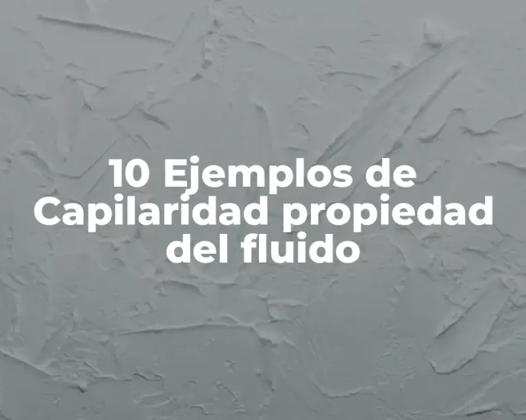 10 Ejemplos de Capilaridad propiedad del fluido