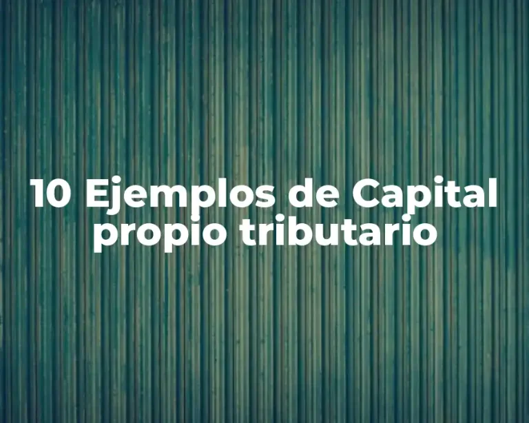 10 Ejemplos de Capital propio tributario