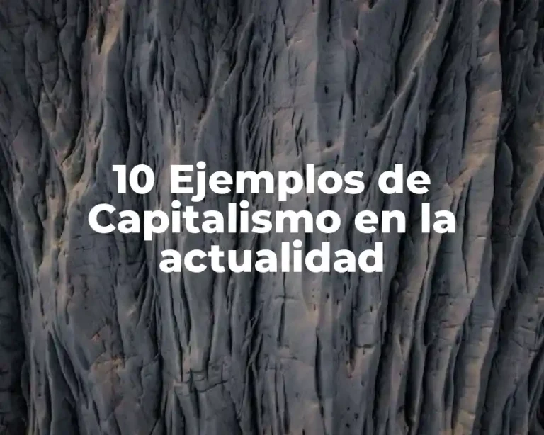 10 Ejemplos de Capitalismo en la actualidad