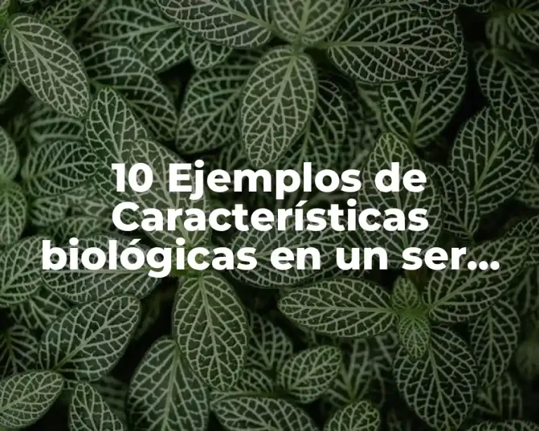 10 Ejemplos de Características biológicas en un ser humano