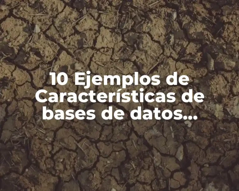 10 Ejemplos de Características de bases de datos orientadas a objetos