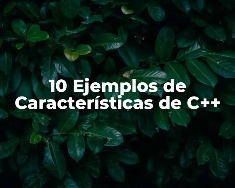 10 Ejemplos de Características de C++