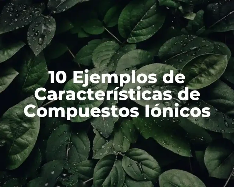 10 Ejemplos de Características de Compuestos Iónicos
