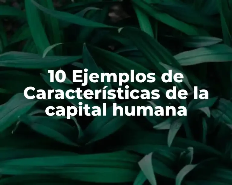 10 Ejemplos de Características de la capital humana