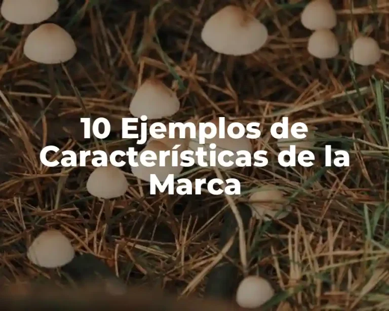 10 Ejemplos de Características de la Marca