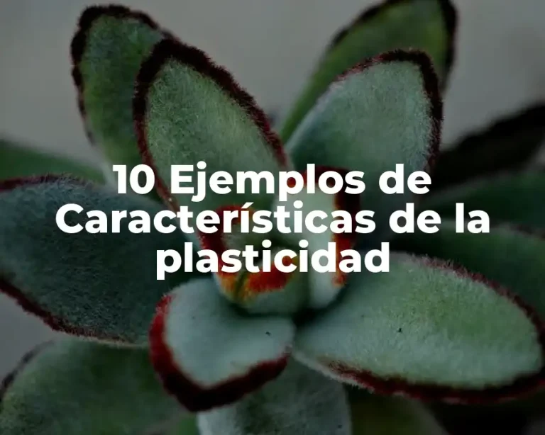10 Ejemplos de Características de la plasticidad