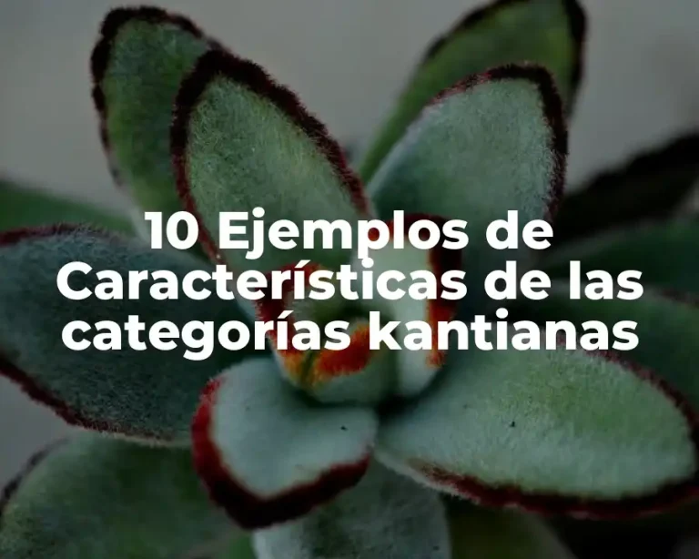 10 Ejemplos de Características de las categorías kantianas