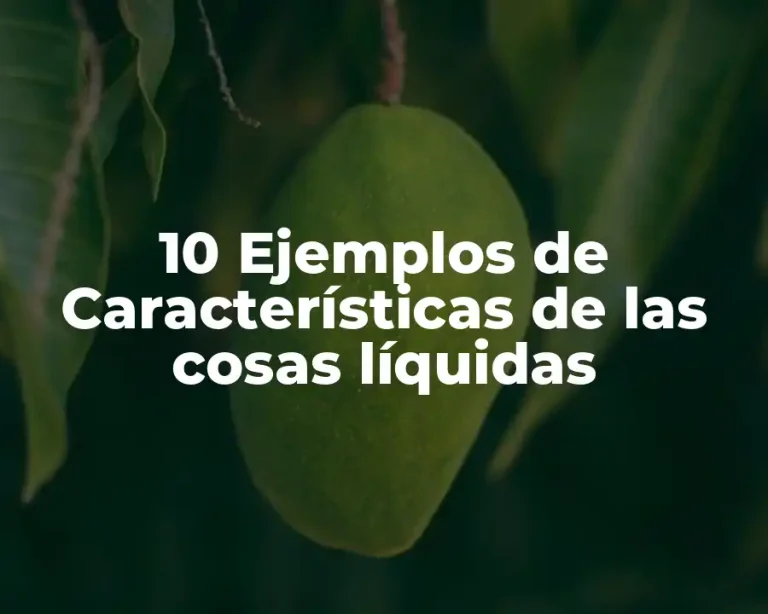 10 Ejemplos de Características de las cosas líquidas