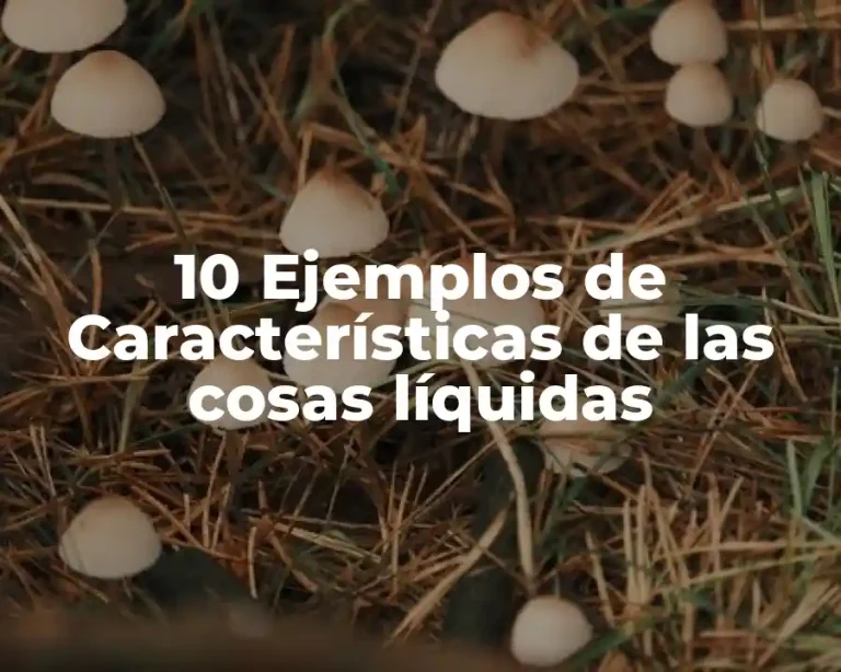 10 Ejemplos de Características de las cosas líquidas