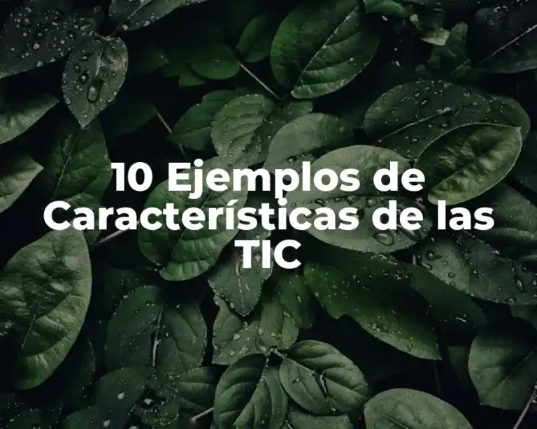 10 Ejemplos de Características de las TIC
