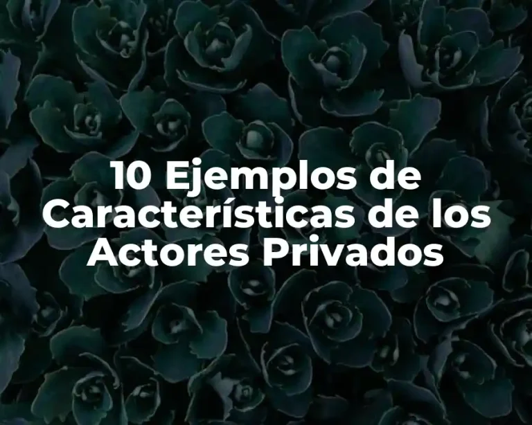 10 Ejemplos de Características de los Actores Privados