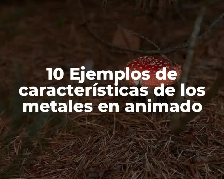 10 Ejemplos de características de los metales en animado