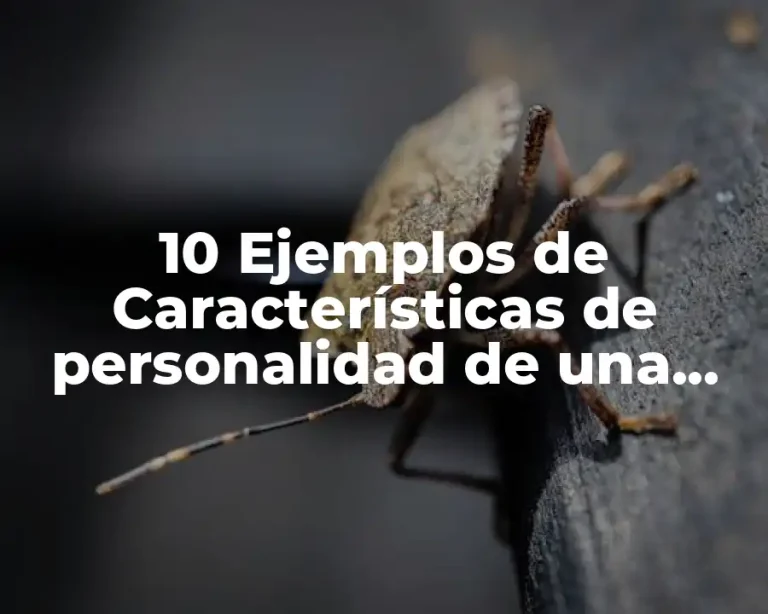 10 Ejemplos de Características de personalidad de una persona