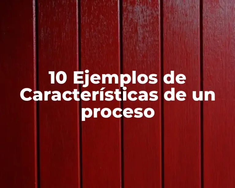 10 Ejemplos de Características de un proceso