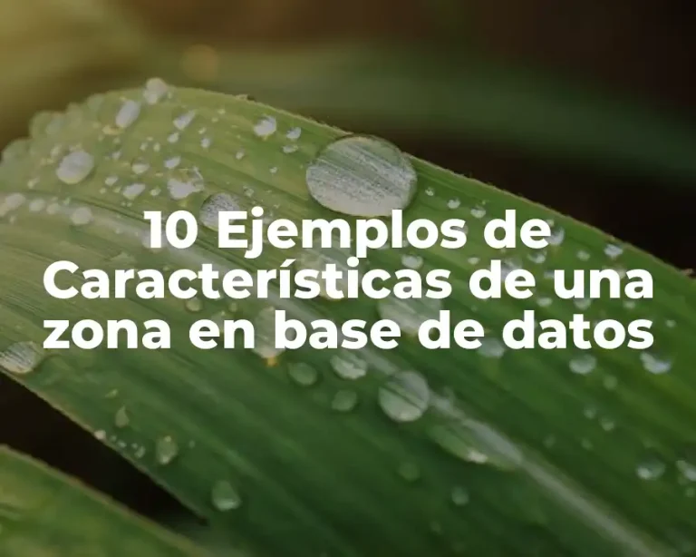 10 Ejemplos de Características de una zona en base de datos