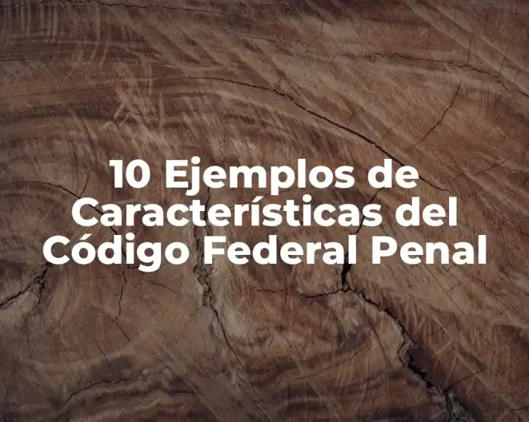 10 Ejemplos de Características del Código Federal Penal