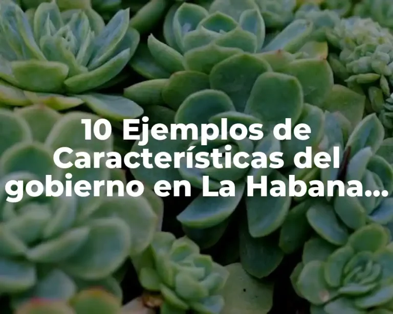 10 Ejemplos de Características del gobierno en La Habana, Cuba
