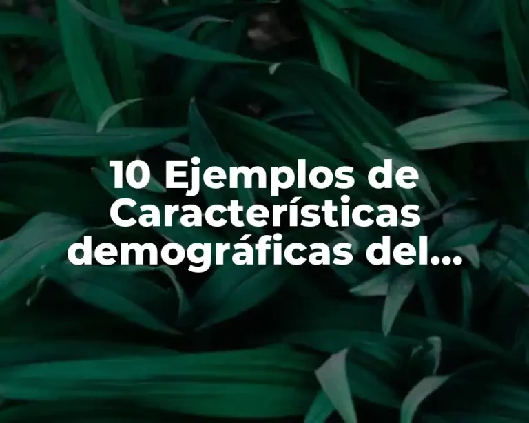 10 Ejemplos de Características demográficas del mercado