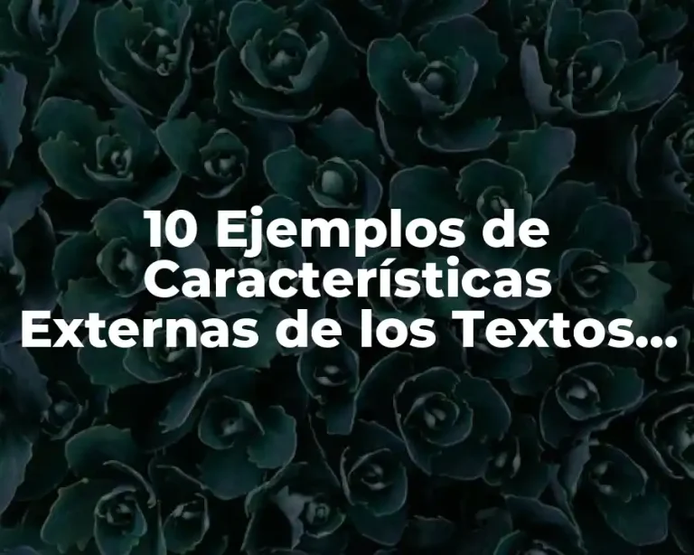 10 Ejemplos de Características Externas de los Textos Funcionales