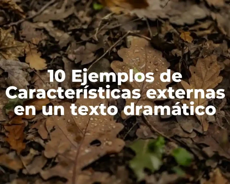 10 Ejemplos de Características externas en un texto dramático