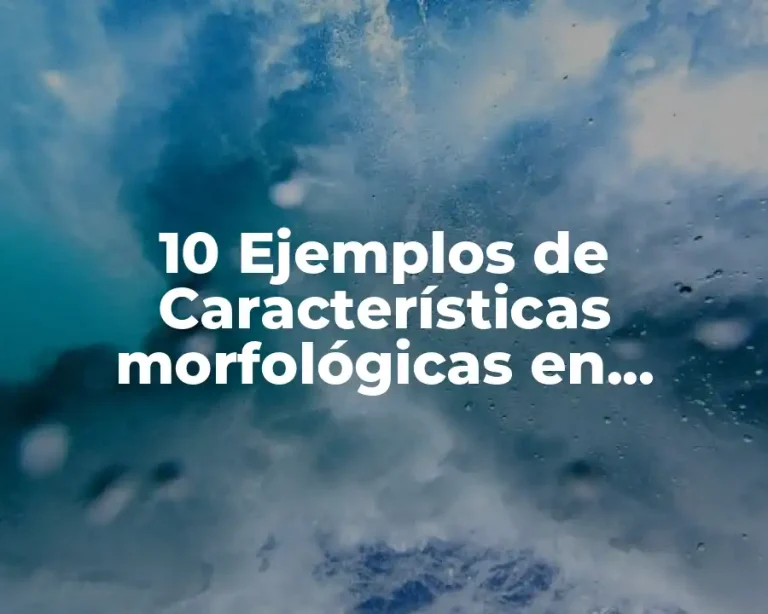 10 Ejemplos de Características morfológicas en biología
