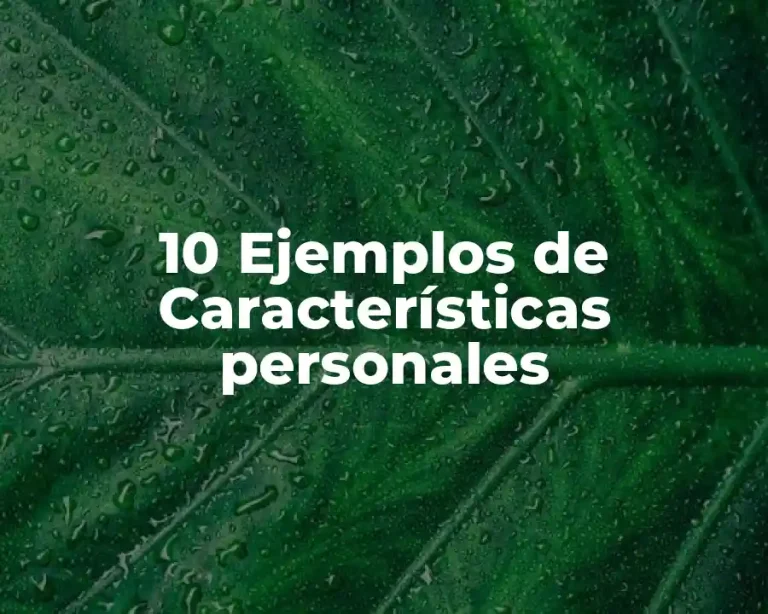 10 Ejemplos de Características personales