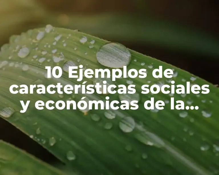 10 Ejemplos de características sociales y económicas de la comunidad escolar, Definición, Diferencias y para que sirve