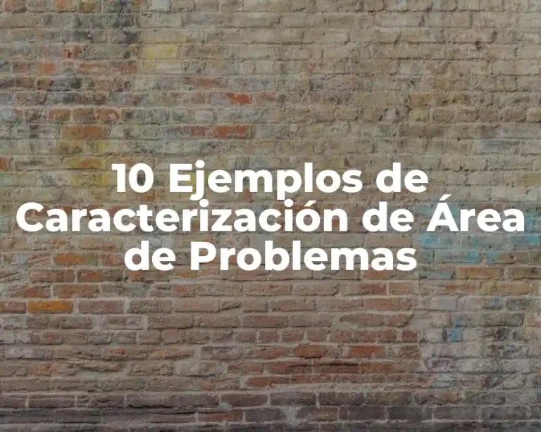10 Ejemplos de Caracterización de Área de Problemas